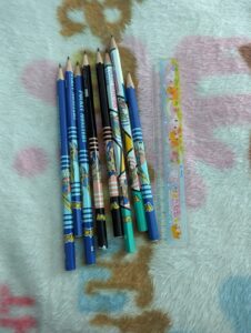 Pokemon pencils zacian and zamazenta kawaii stationery Japan