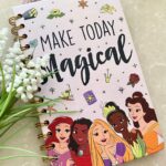 Disney Princess Journal